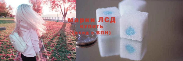 дмт Осинники