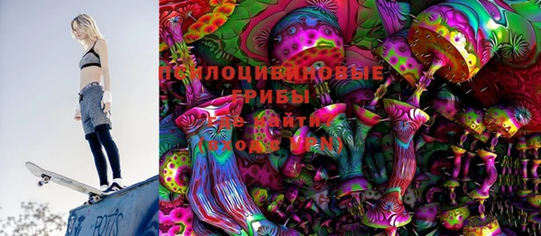 дмт Осинники