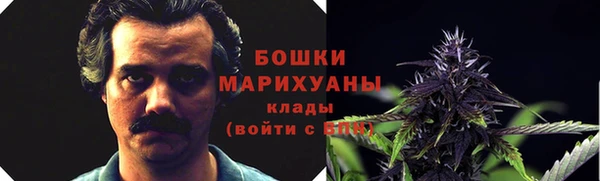 дмт Осинники