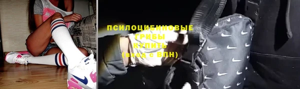 дмт Осинники
